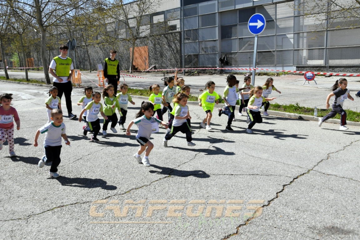 Circuito