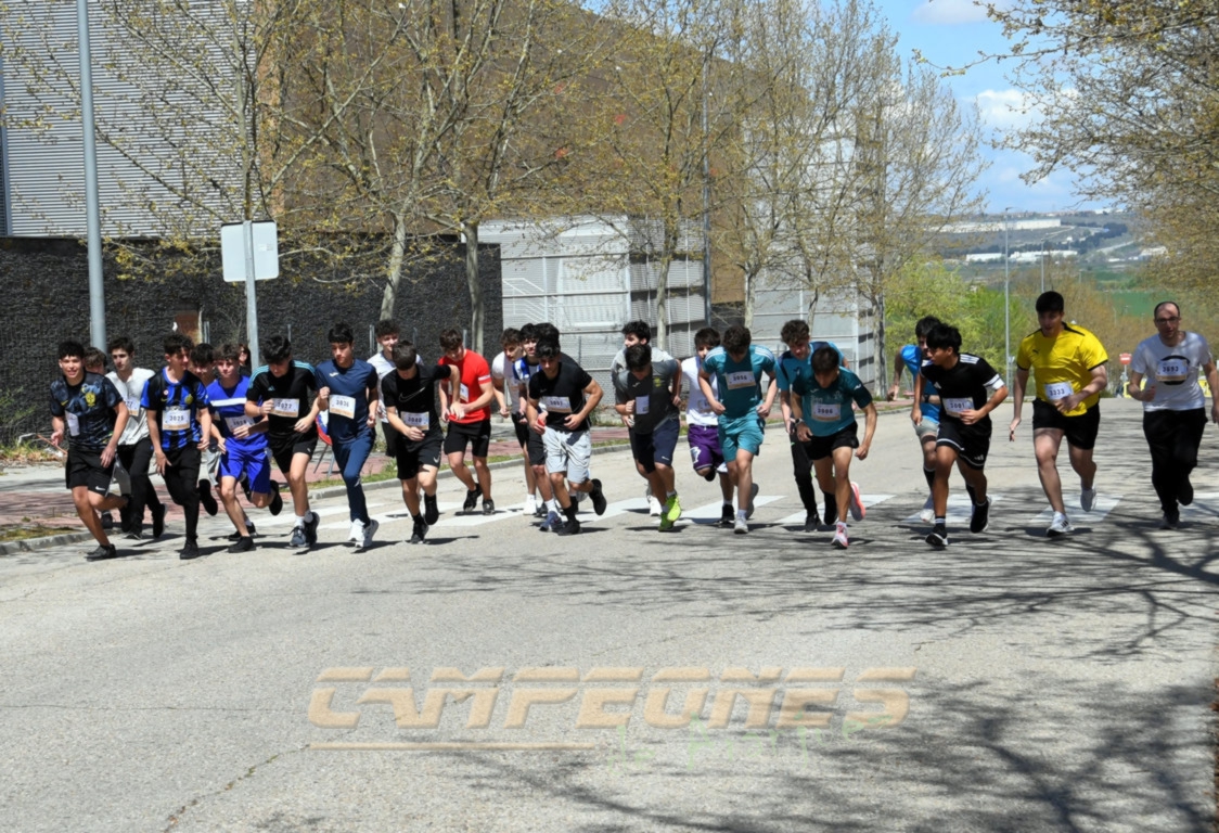 Circuito