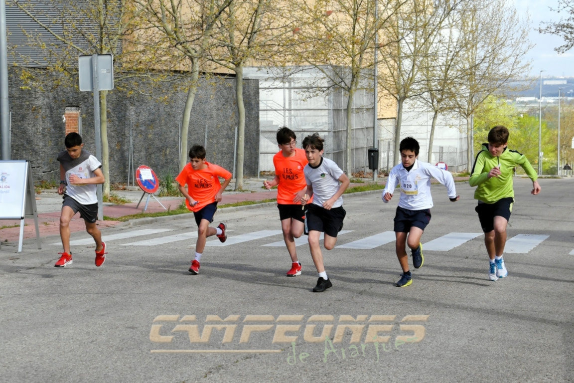 Circuito