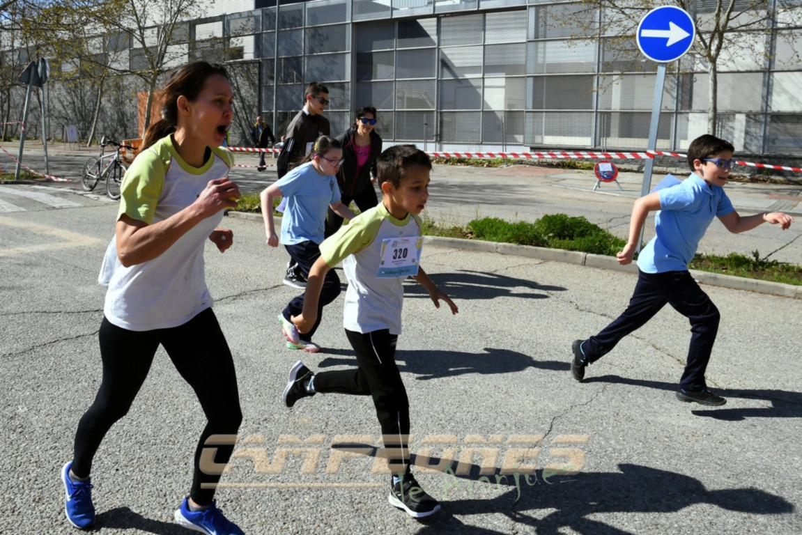 Circuito