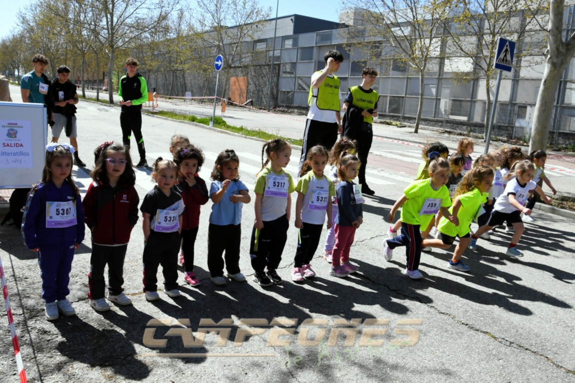 Circuito