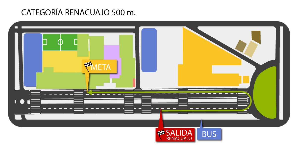 Renacuajo