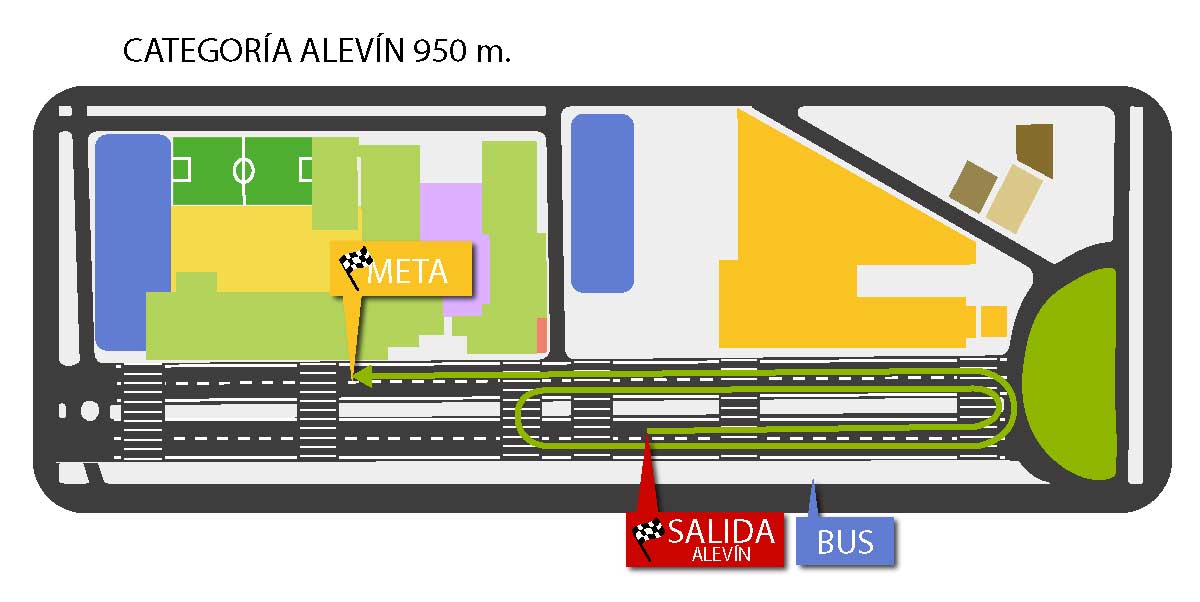 Alevín
